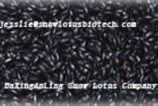 Black Rice Pigment(Anthocyanin)